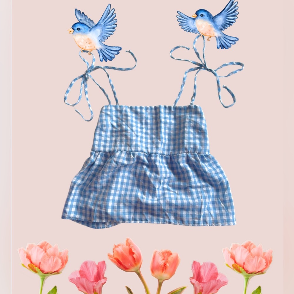 Stylish Blue Gingham Women's Blouse